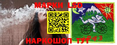 СК Абинск