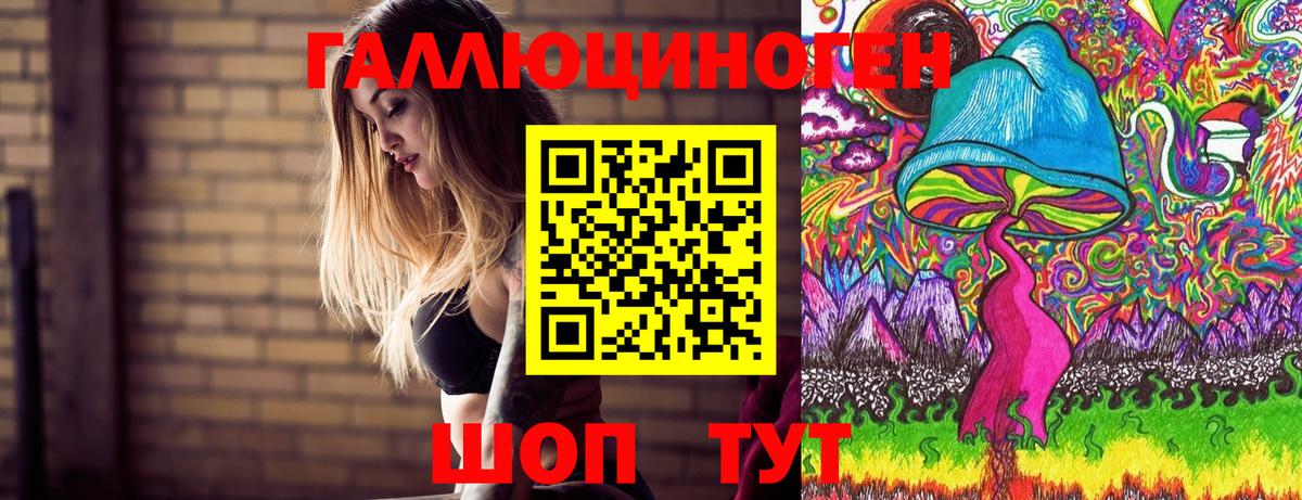 Псилоцибиновые грибы прущие грибы  Вход с VPN  Алушта 